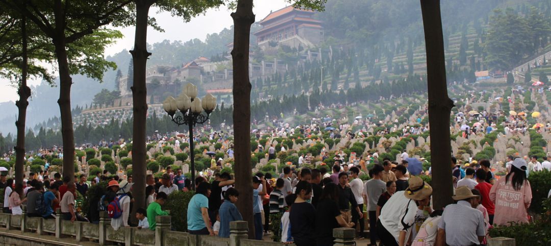 顺德飞鹅永久墓园 年年祭扫先人墓,处处犹存长者风