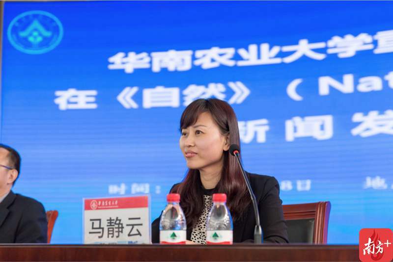 "仔猪灭门案"告破,华农团队发现新型病毒,与sars多处相似!