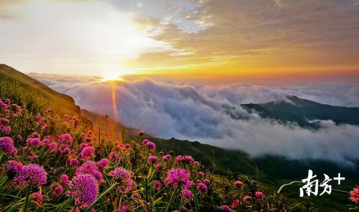 中国十大避暑名山贵州屋脊韭菜坪——况华斌摄