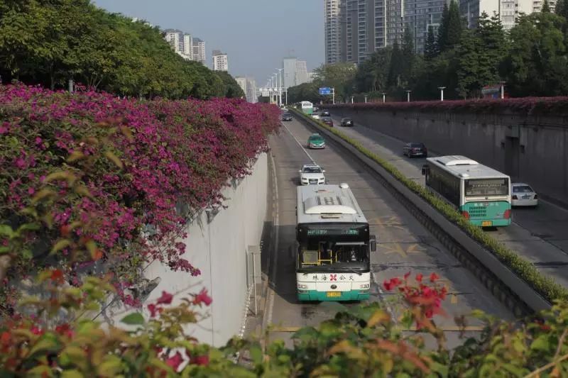 为此,根据市民需求,从10日开始,b2路往海虹总站方向经"华子石东"