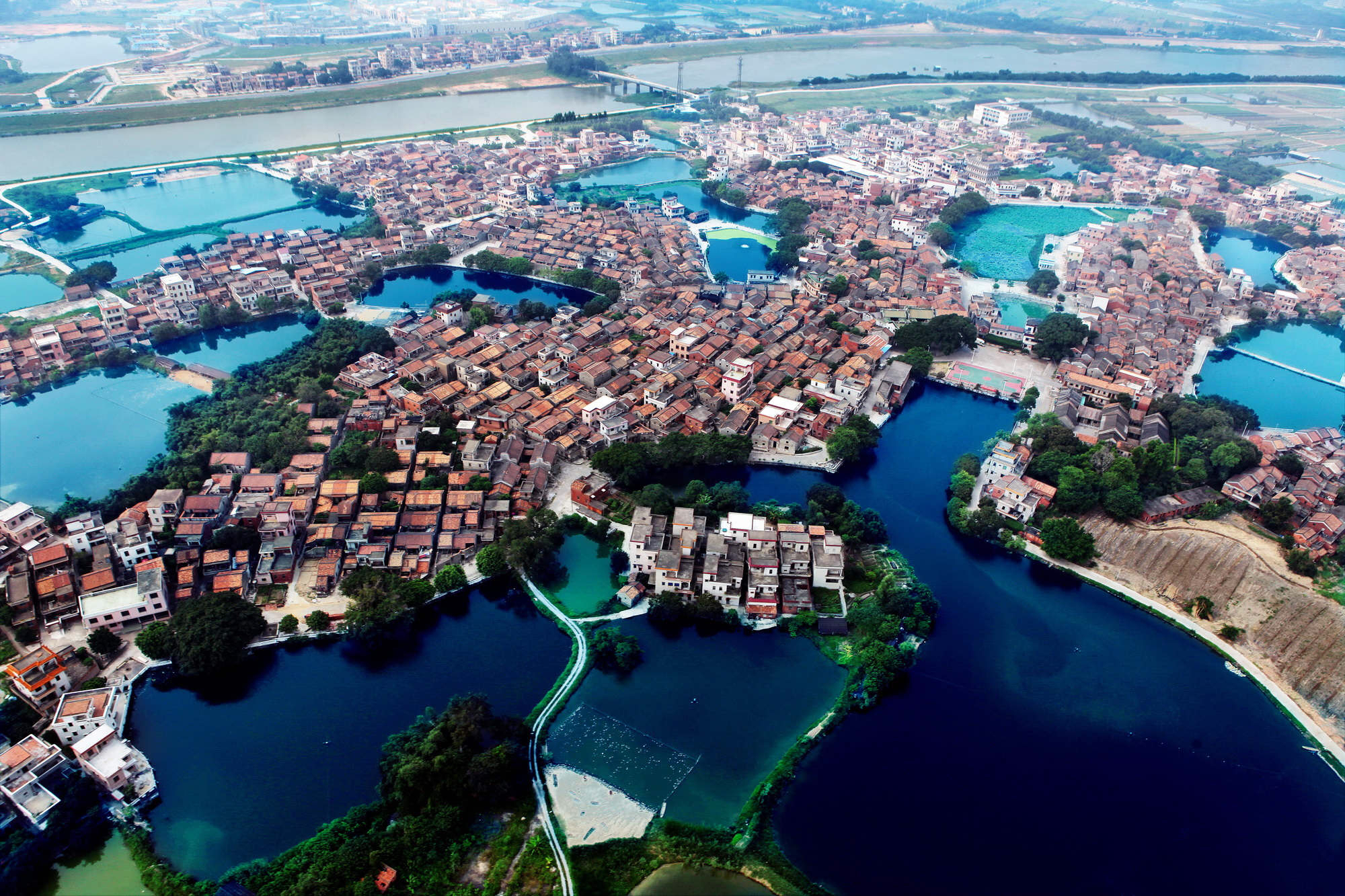 走进三水芦苞,探秘长寿秘诀