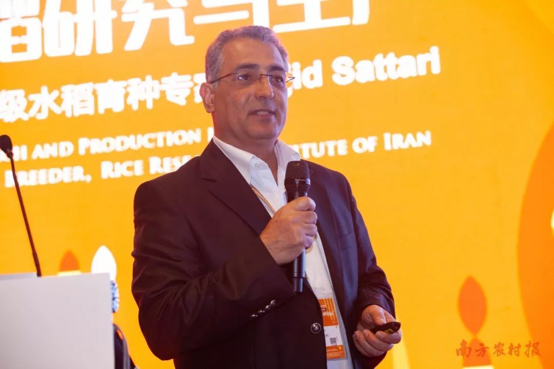 伊朗水稻研究所高级水稻育种专家  Majid Sattari