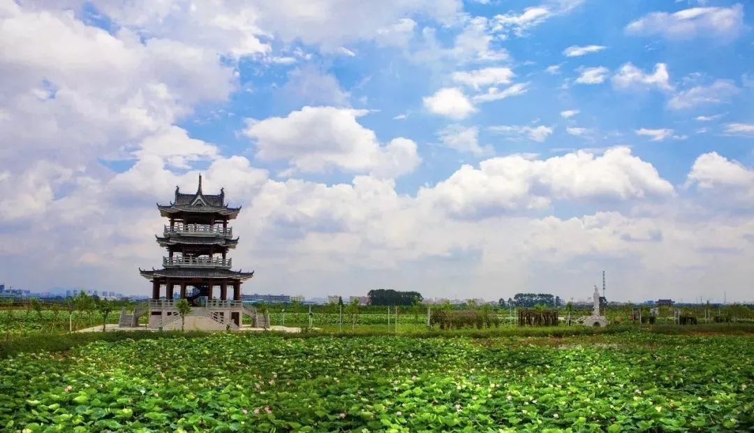 自豪!麻涌從北京捧回兩個國字號,全省唯一!