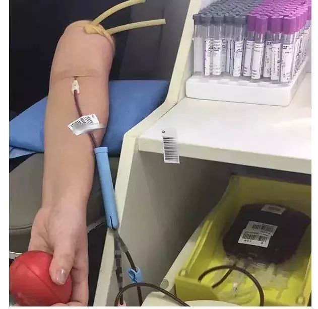 献血的针管多粗图片