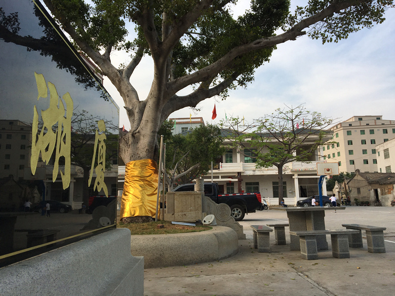 湖厦池塘边的休闲广场。