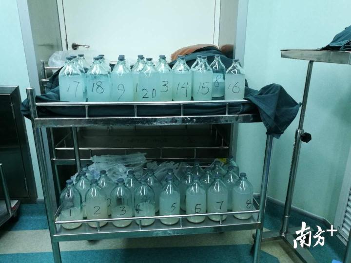 肺泡灌洗进行中