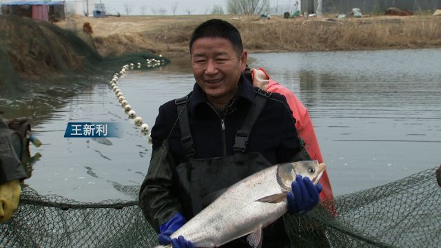 告别打卡通勤扎根草原放牧！大学宝博体育- 宝博体育官网- 宝博体育APP下载 BaoBoSports生夫妻的“反卷”人生