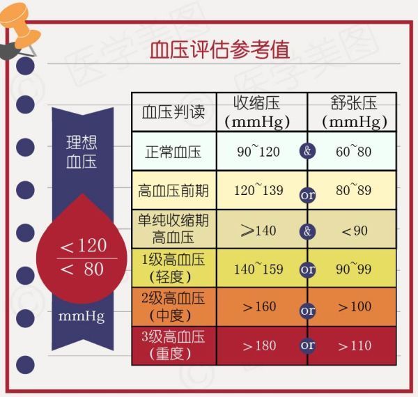 血压调节图解图片