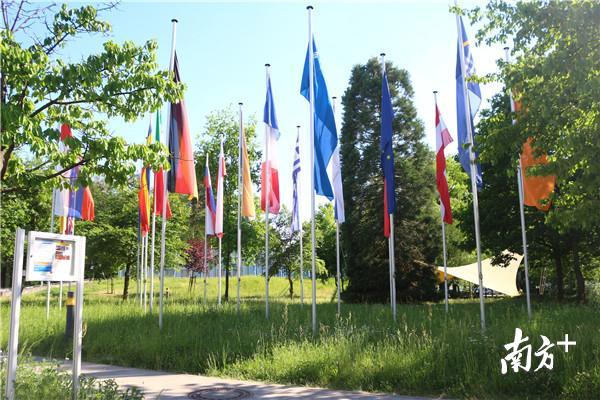 研究中心合作国及地区旗帜。