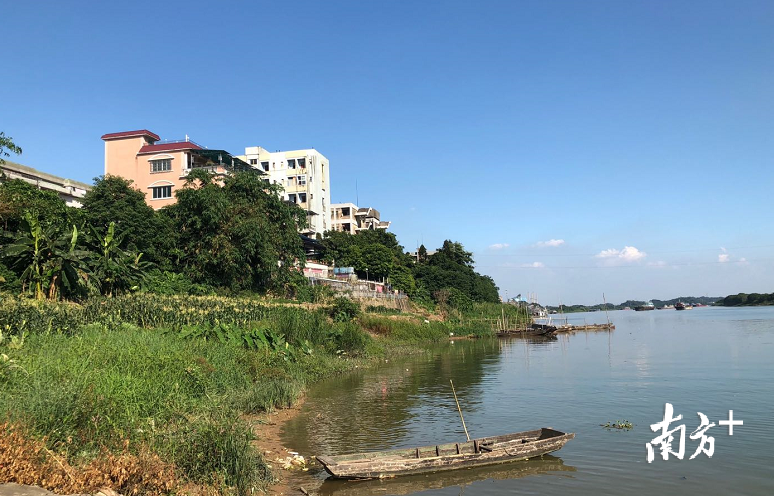 三水西南青岐村给万亩鱼塘加装乡村孵化器