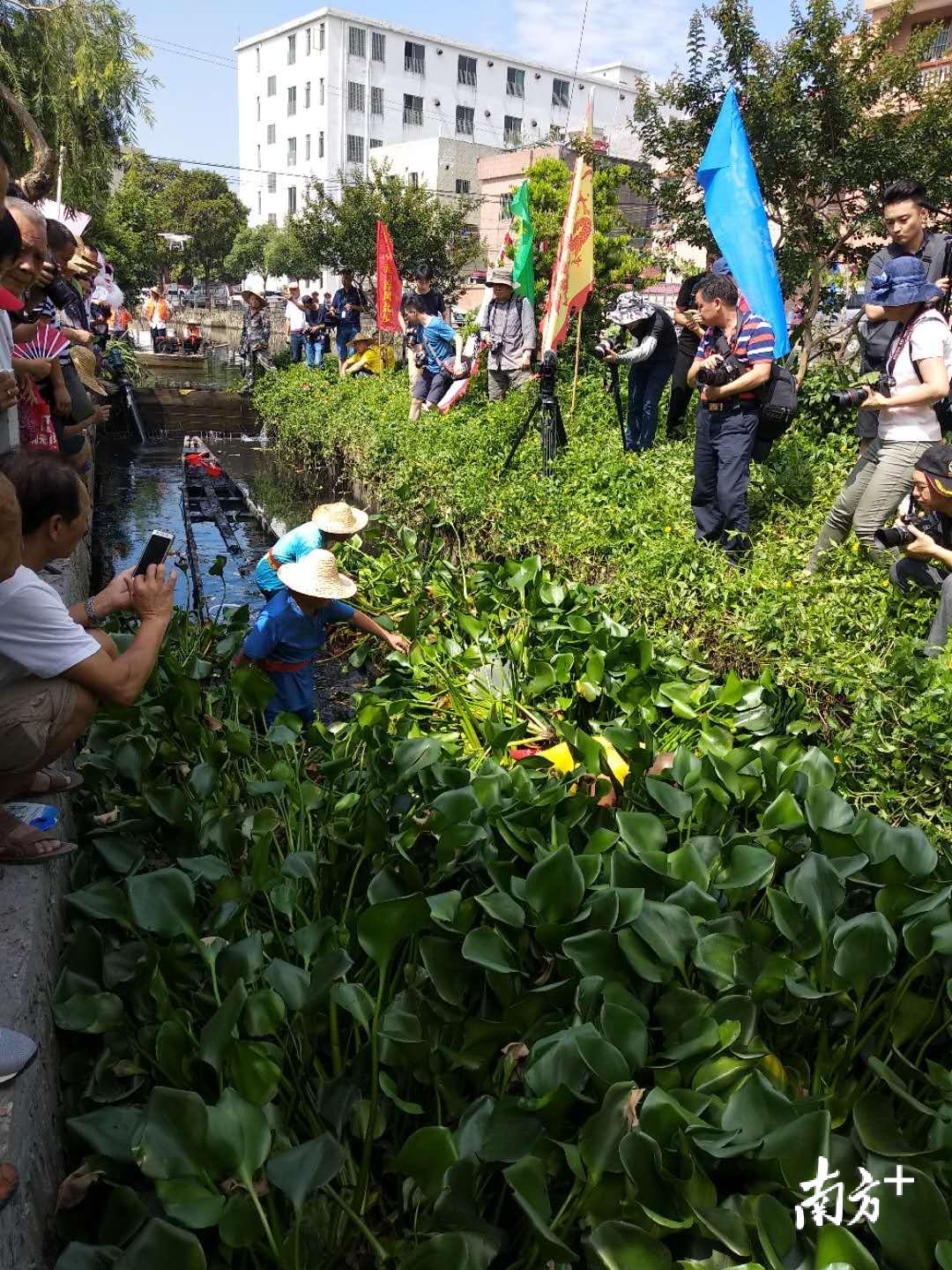 为什么盐步老龙泡在水中不会腐烂？有老人介绍，盐步老龙是用优质坤甸木制作，并不怕被水浸泡。而现在用杉木制作的龙舟则要离水保存，否则会变形。