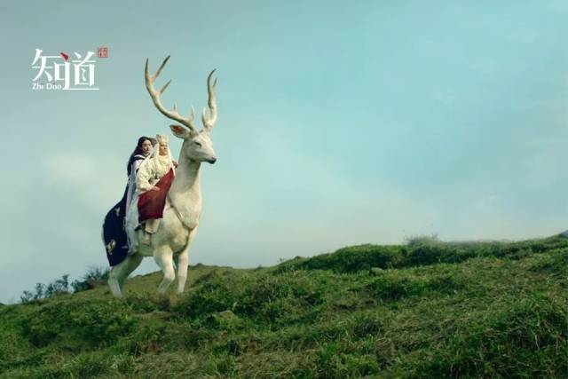 《西游记女儿国》(影视剧照/图) 《西游记女儿国》(影视剧照/图)