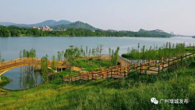 2018年世界环境日,增城向您发出倡议!