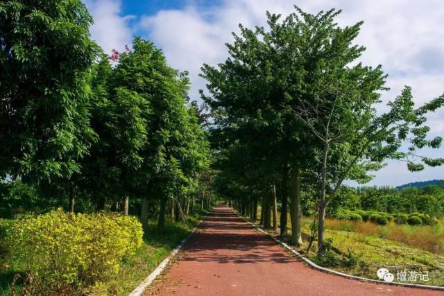 2018年世界环境日,增城向您发出倡议!