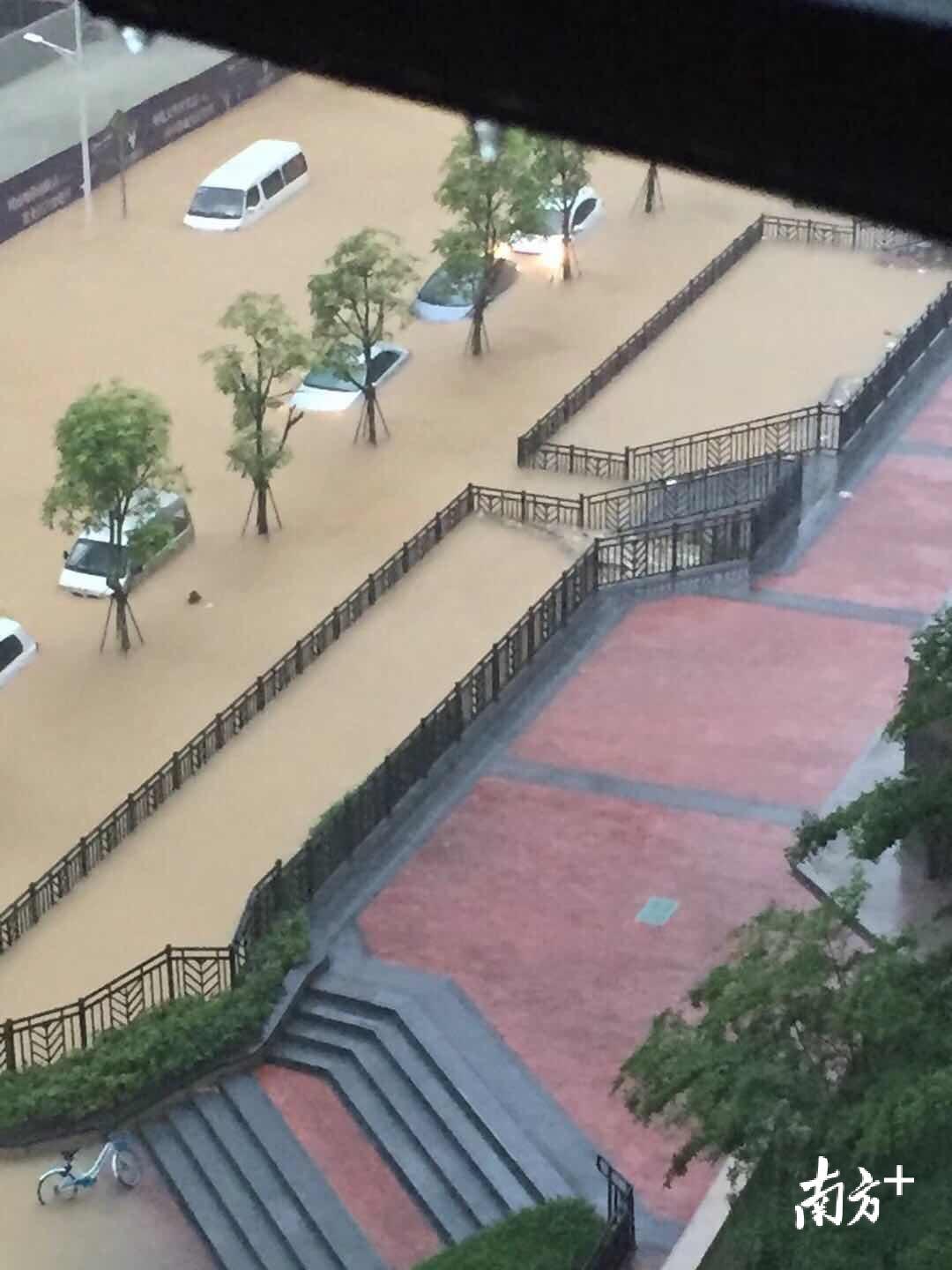 江门市城区滨江新区范罗岗小学门口车辆被水浸。 市气象局供图