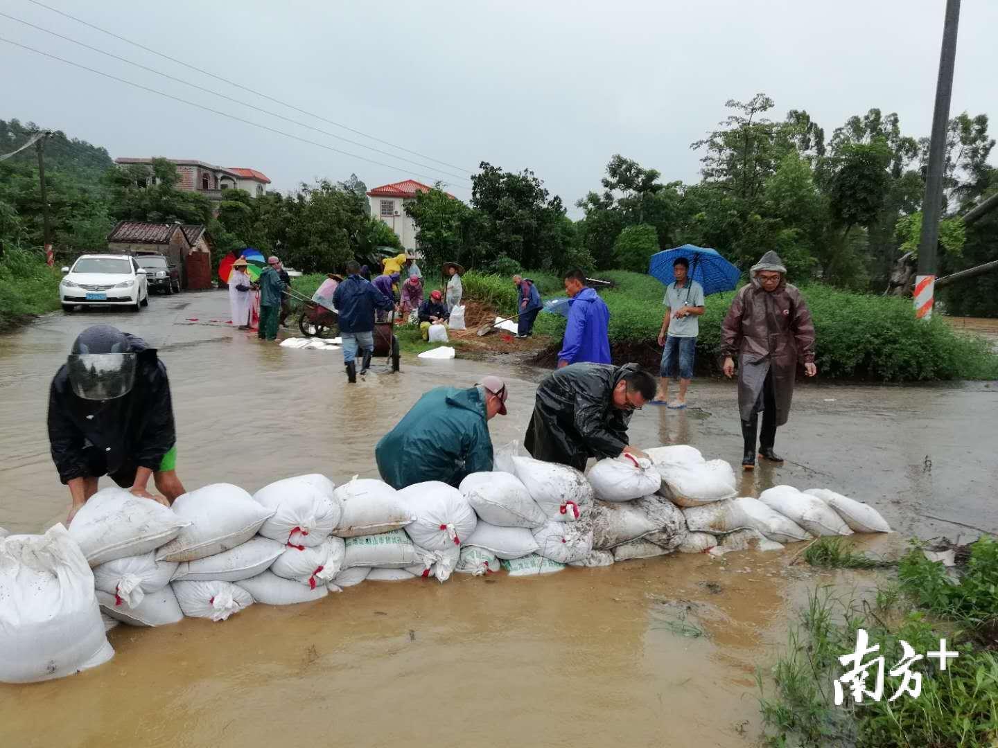 鹤山古劳驻村干部与村委会干部正在转移受浸群众，并在各相关地点设置防汛沙袋。