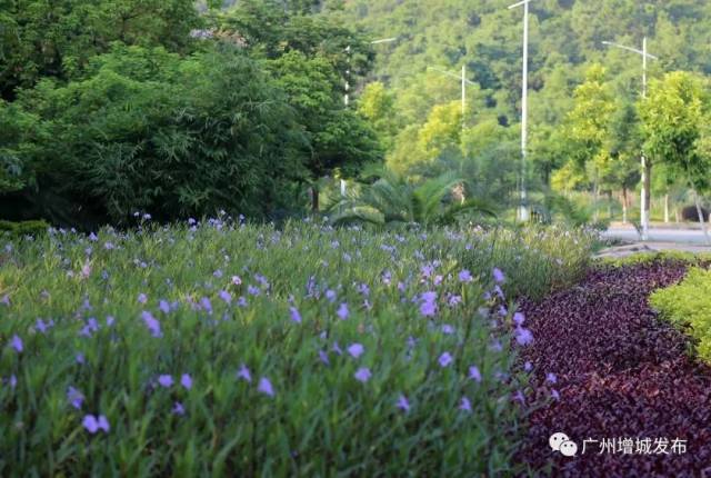 2018年世界环境日,增城向您发出倡议!