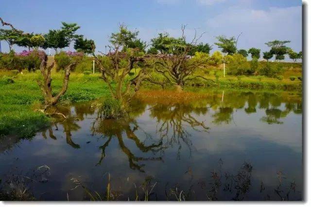 2018年世界环境日,增城向您发出倡议!