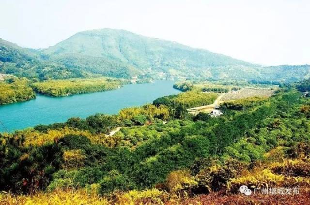 2018年世界环境日,增城向您发出倡议!