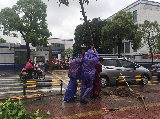官窑交警中队警辅人员分组到辖区水浸拥堵路段指挥疏导，及时清理被吹倒树木。狮山宣办供图