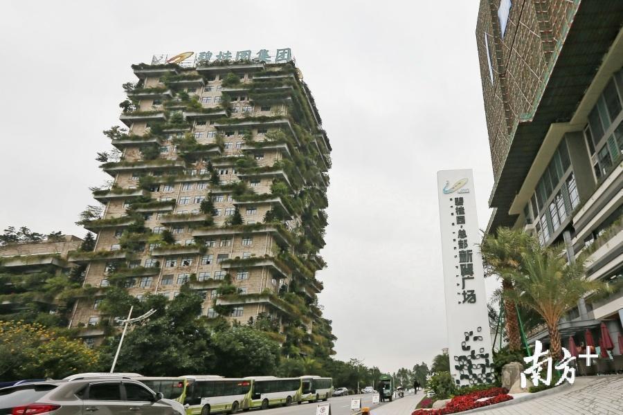 除了进入全新的产业领域，一些原来只是作为地产配套的领域，也逐步成为了碧桂园全新的发力方向。戴嘉信/摄