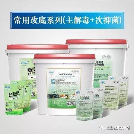 烟台生物科技公司怎么选？从技术研发到成果转化的全流程解读