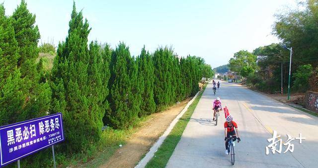 紫金笔直的农村公路与与路旁风景,博得骑行爱好者青睐。 黄从高 摄 紫金笔直的农村公路与与路旁风景,博得骑行爱好者青睐。 黄从高 摄