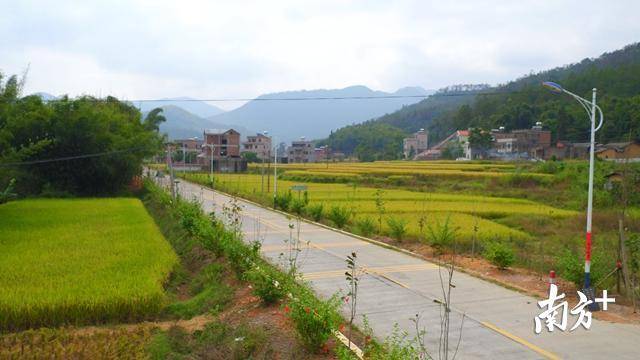 通往廉政教育基地的邓缵先故居道路。 通往廉政教育基地的邓缵先故居道路。