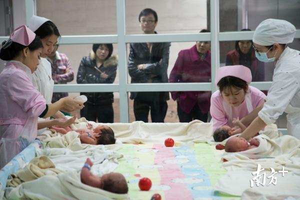 图为东莞某医院,护士在给婴儿擦身,父母在外面等候。南方+记者 孙俊杰 摄 图为东莞某医院,护士在给婴儿擦身,父母在外面等候。南方+记者 孙俊杰 摄