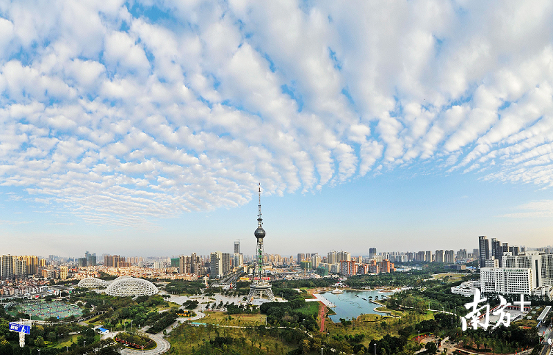 禅城区区长孔海文表示，禅城将抢抓粤港澳大湾区战略机遇，进一步发展科创产业。