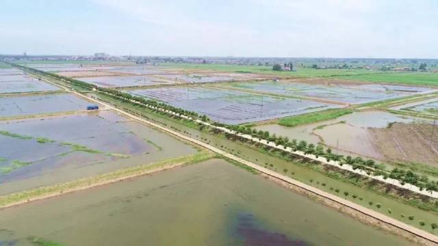 殖!4.2万亩基地建全国首个高标准双水双绿项