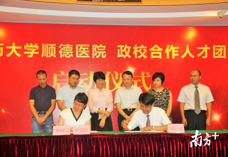 今年6月，广州中医药大学顺德医院（顺德区中医院）引入8个医疗专家团队。（南方+记者 欧阳少伟 摄）