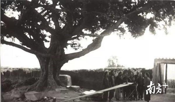 兴宁人在用木机织布。摄于1891-1905年间。