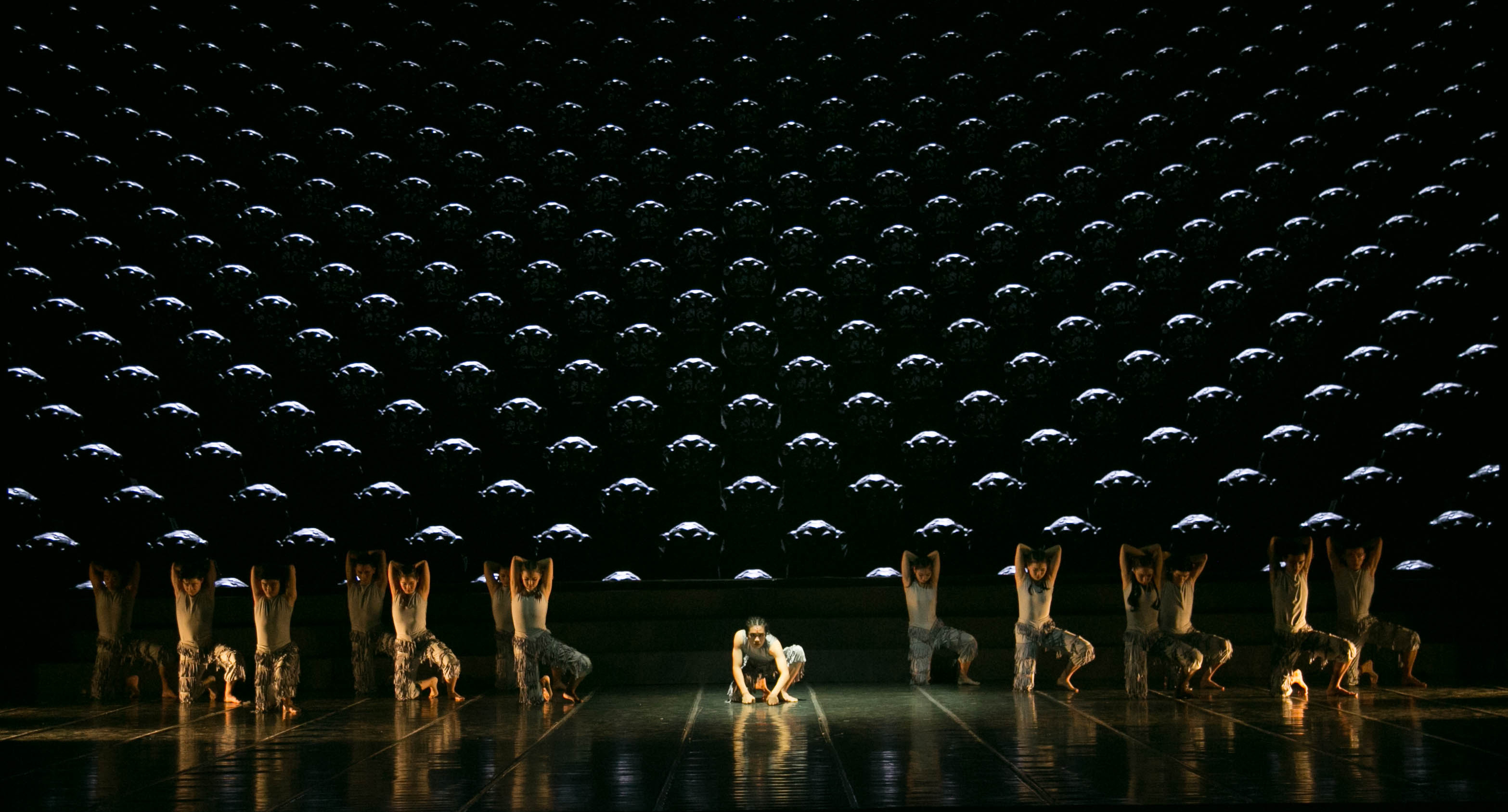 院校专业组《石灵》