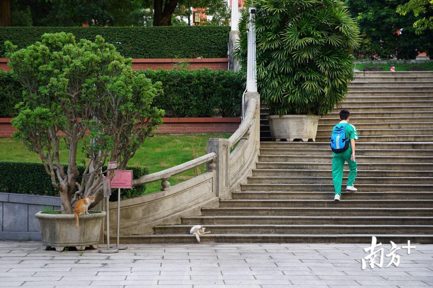 执信中学学生走向教学楼。 执信中学学生走向教学楼。