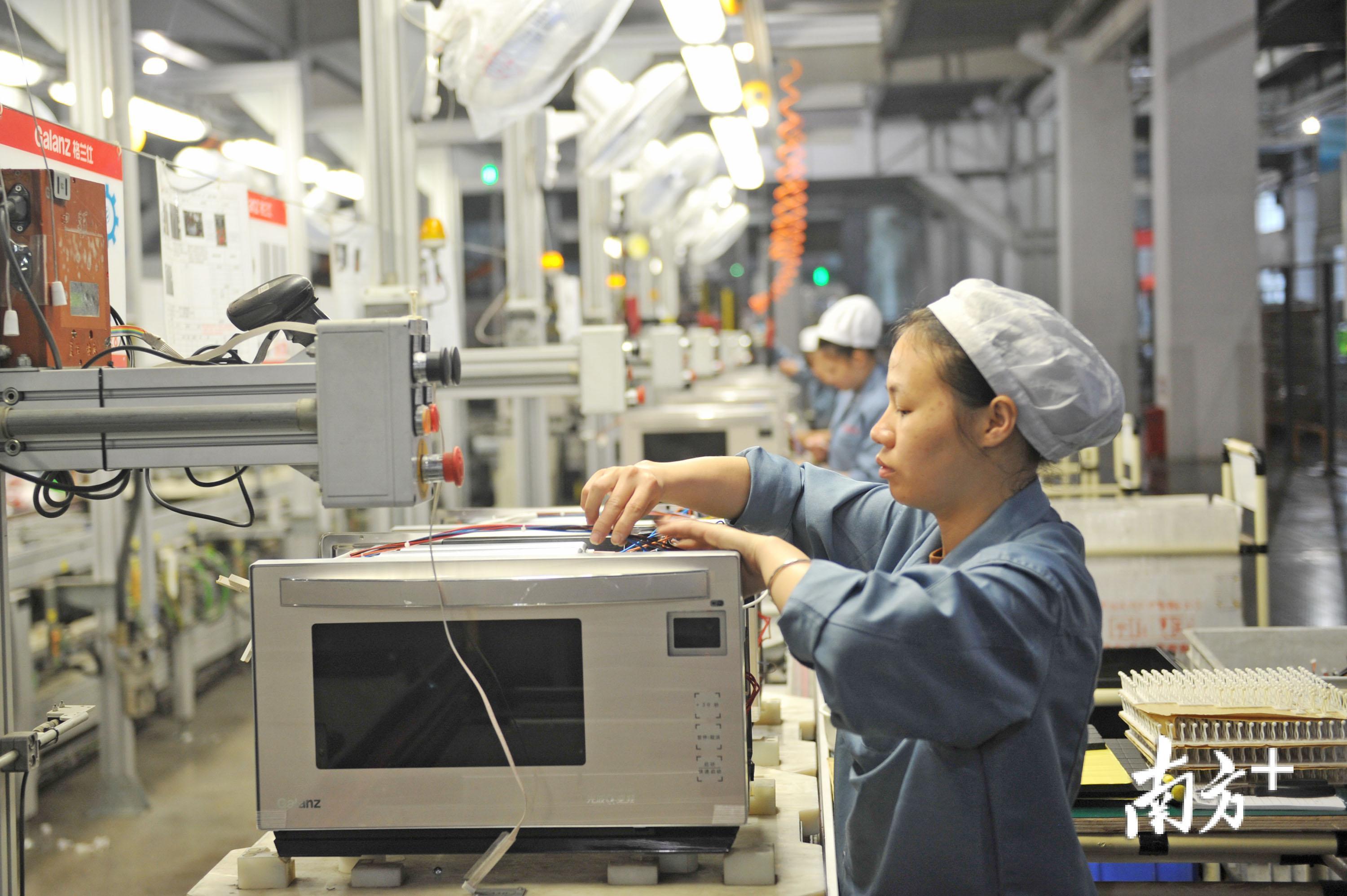 格兰仕微波炉生产线，工人正有条不紊地进行安装操作。南方日报记者 戴嘉信 摄