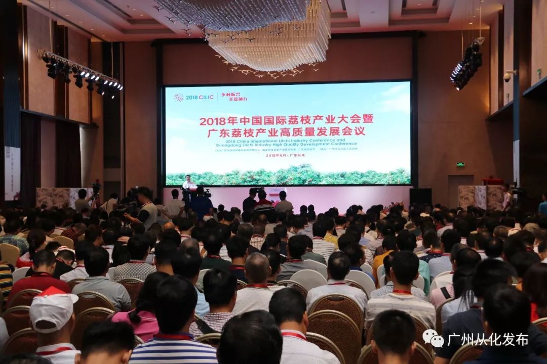 商城县人民政府2025年政府工作报告
