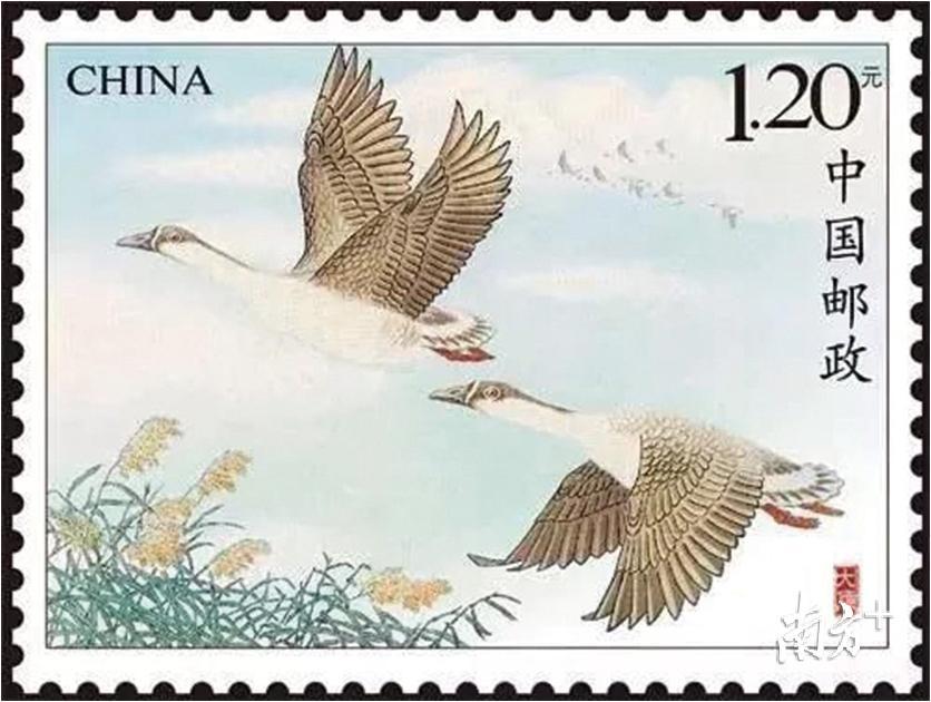 中国邮政发行了《大雁》特种邮票1套1枚。 中国邮政发行了《大雁》特种邮票1套1枚。