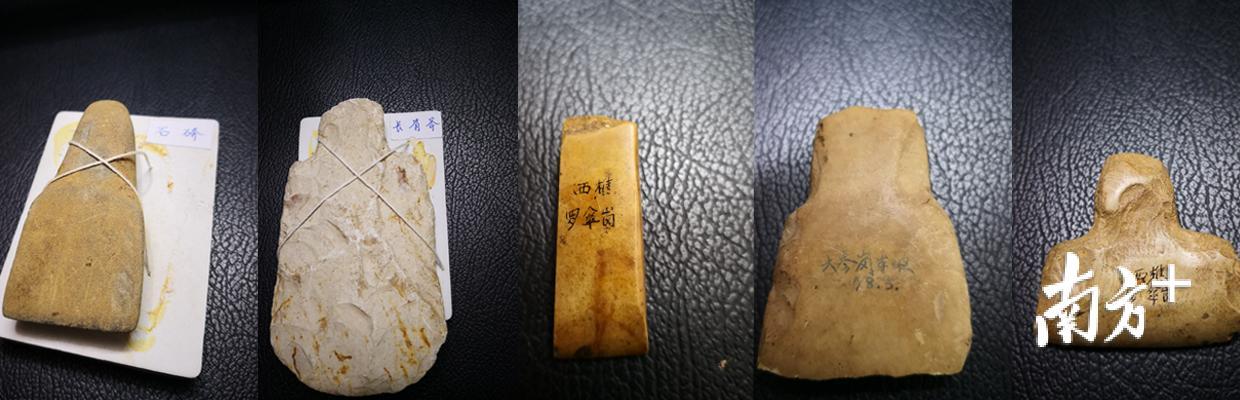 西樵山出土的石器。盛正挺 摄