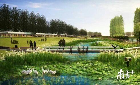 银山湿地公园效果图。市林业局供图