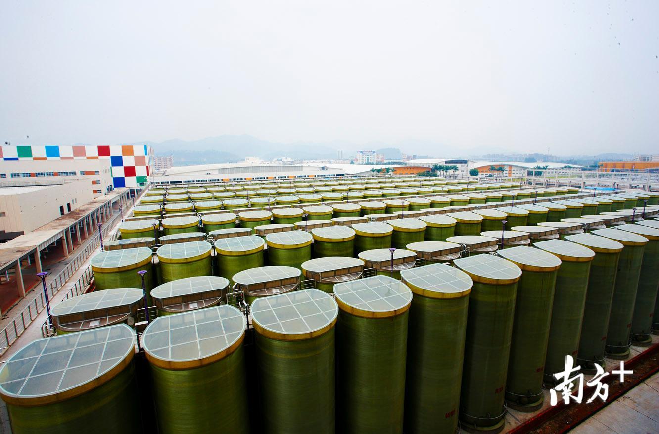 海天360度天然发酵大罐。海天味业供图