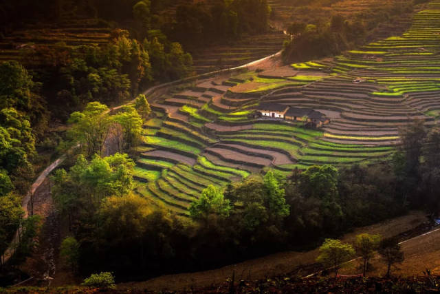 连南大麦山镇整合资源推进乡村振兴 |"丢荒地"成风景区 ,"贫困户"变新