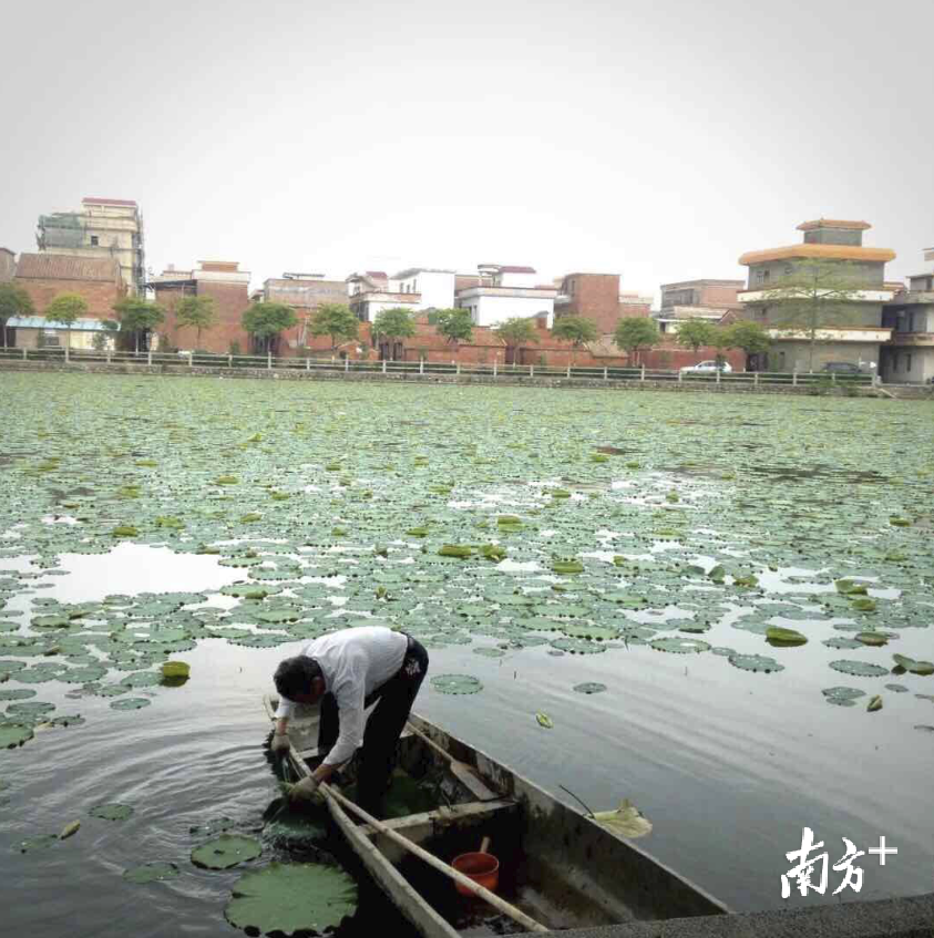 芦苞镇龙坡中学胡家馨作品 《长歧古村》获得初中组摄影一等奖。主办方供图 芦苞镇龙坡中学胡家馨作品 《长歧古村》获得初中组摄影一等奖。主办方供图