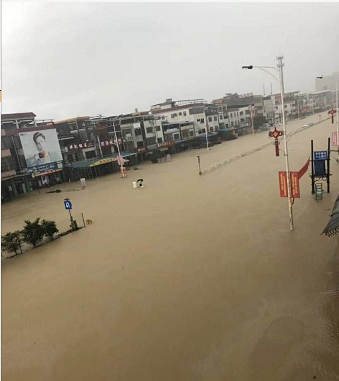 惠东白花市场。网友供图