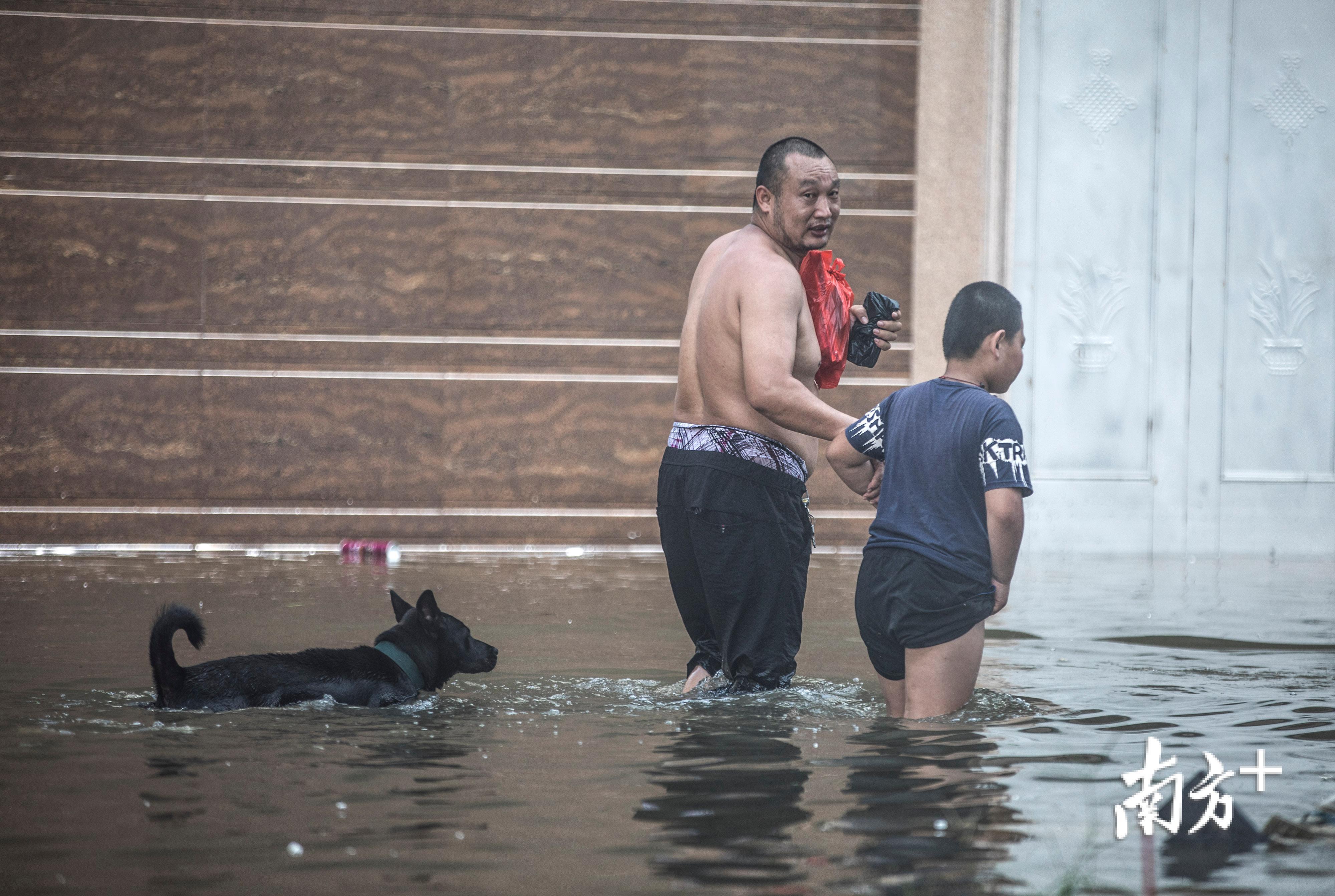 △9月2日，陈店镇一名家长带着孩子蹚水外出，他们家的狗狗跟随其后。