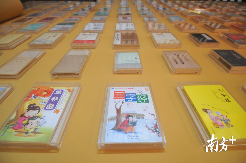 南方+记者 戴嘉信 摄