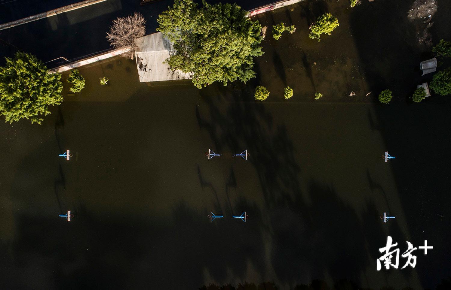 △9月3日，潮阳区谷饶中学操场仍被洪水淹没。