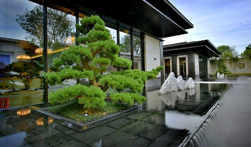 泰禾佛山院子实景图。受访者供图 泰禾佛山院子实景图。受访者供图