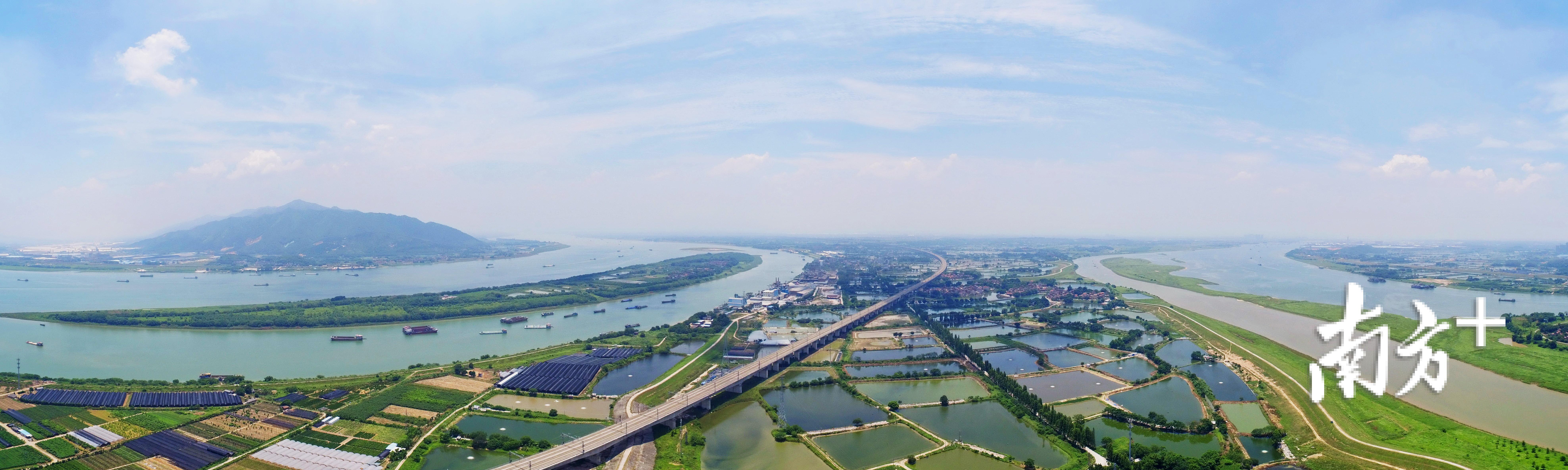 在青岐可以饱览三江汇流的胜景. 三水区档案局供图