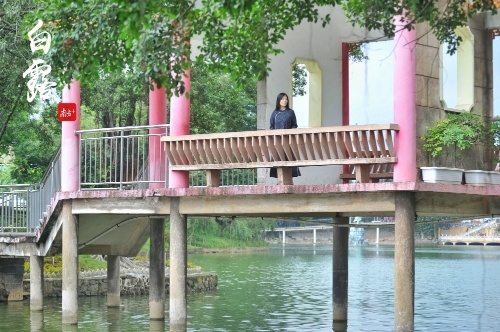 蒹葭苍苍,白露为霜;所谓伊人,在水一方。石湾公园里,伊人凭栏远眺。 蒹葭苍苍,白露为霜;所谓伊人,在水一方。石湾公园里,伊人凭栏远眺。